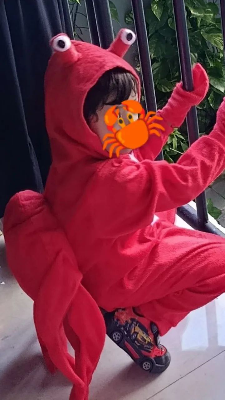 Fantasia de caranguejo infantil  - Foto 5