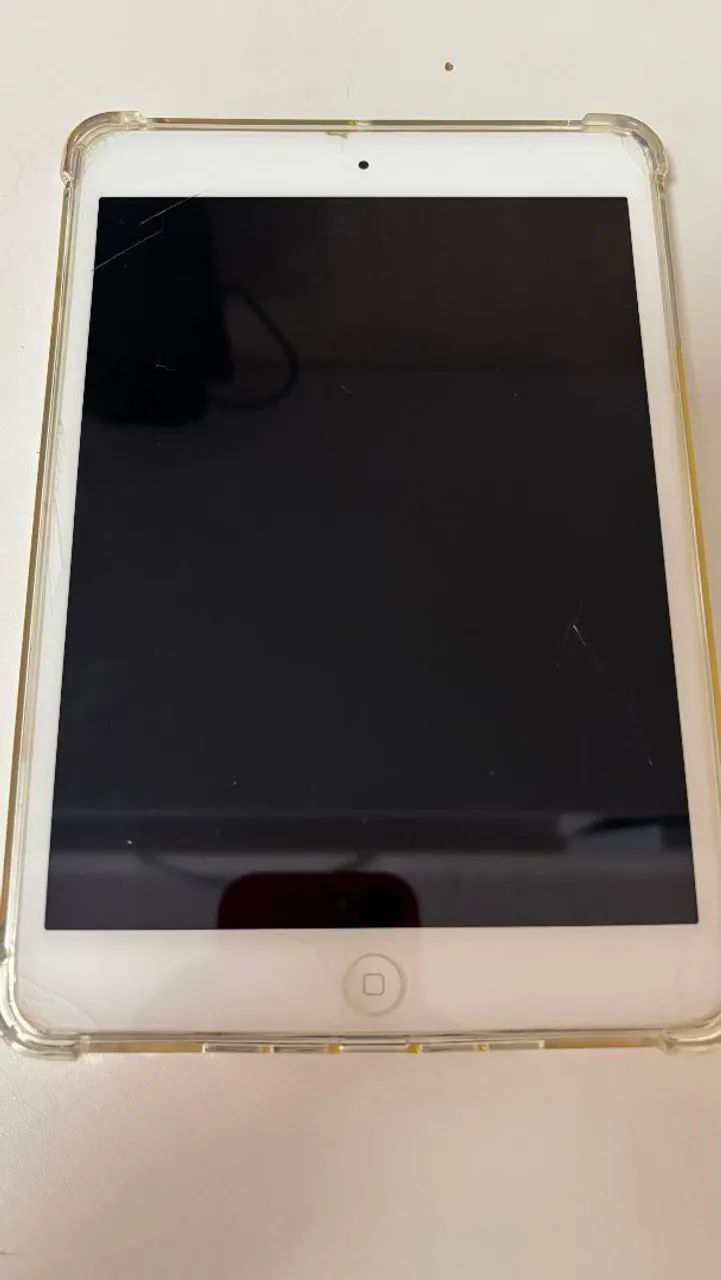 iPad mini 2
