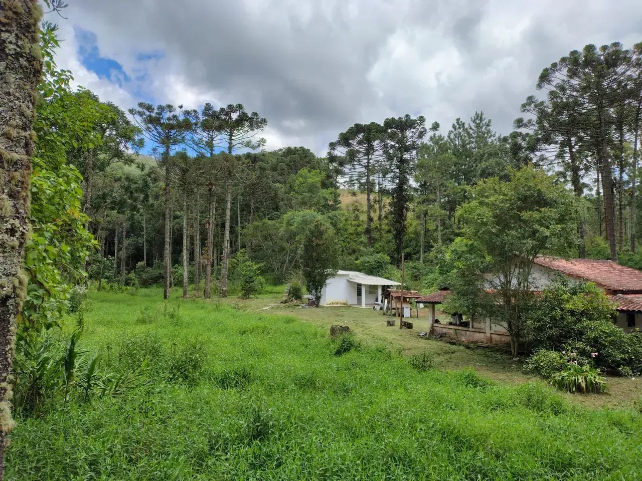 sitio 2.5 alqueires em Joanópolis sp
