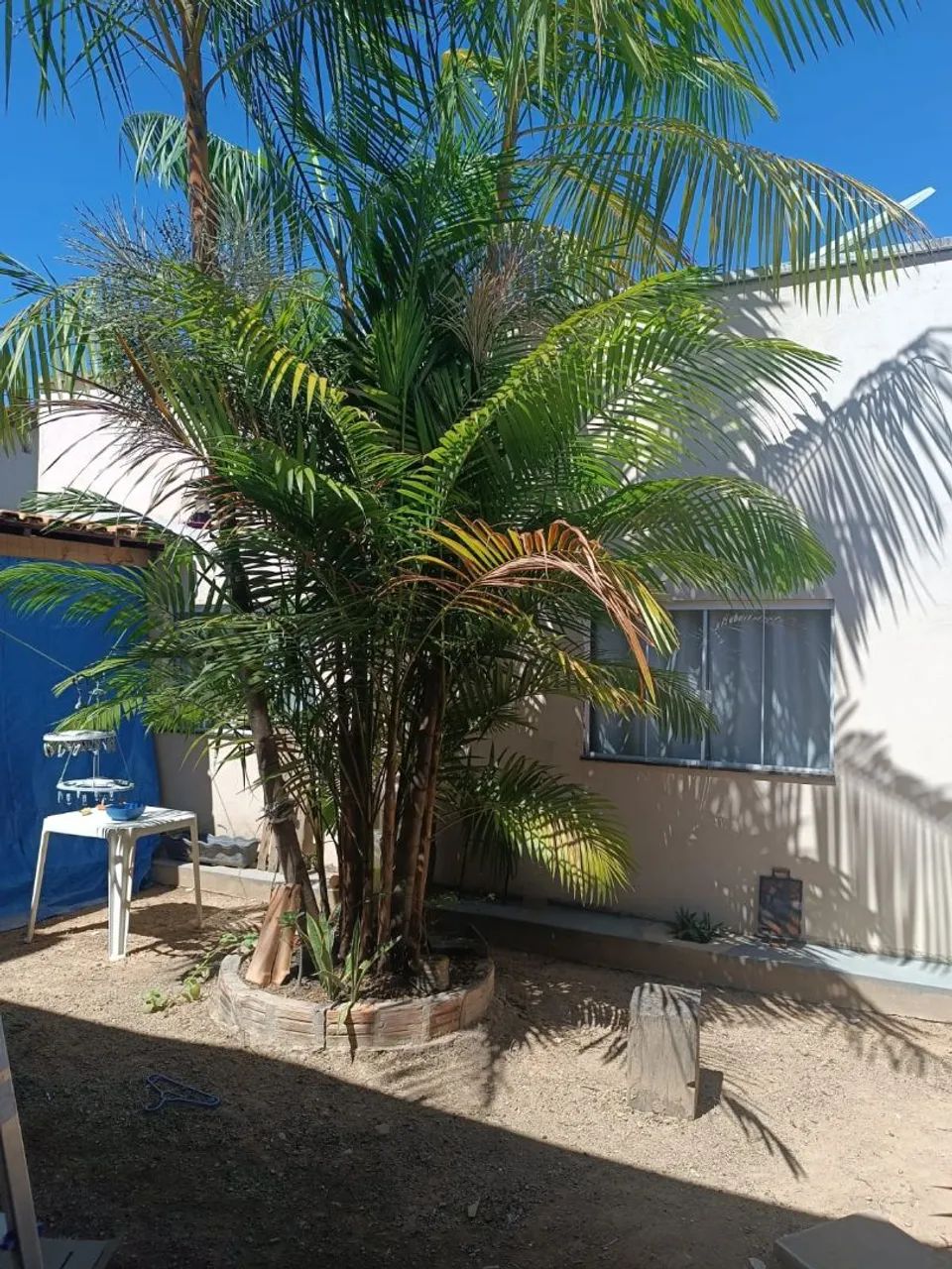 CASA CIDADE JARDIM  - Foto 4
