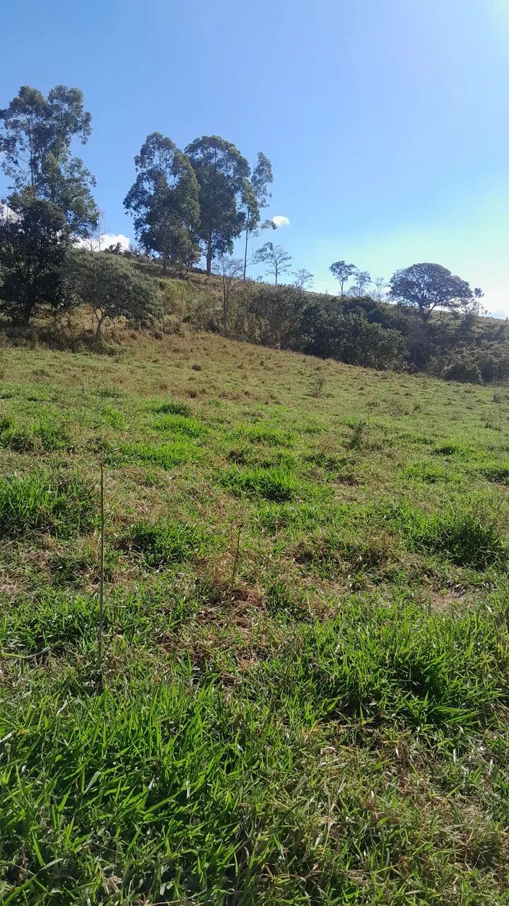 Chácara em Monte Sião MG - Foto 4