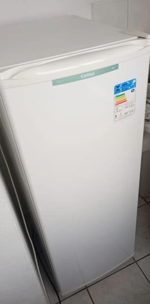 Freezer vertical