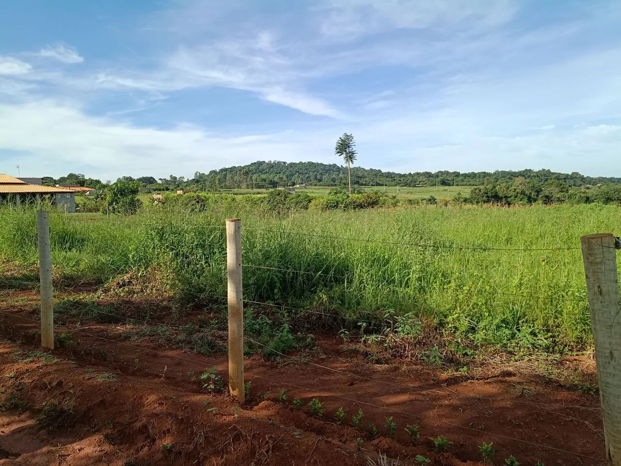 chácara 80 km da eternite - Foto 4