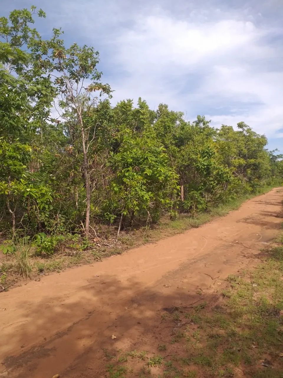 TERRENO DE 10 MIL M² EM TIMOM-MA - Foto 2