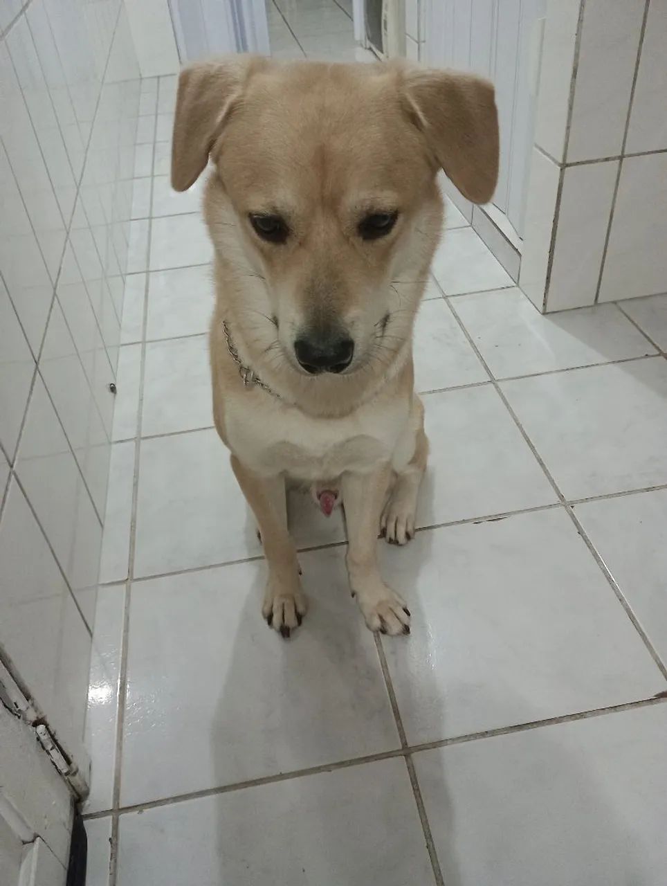 Doação responsável 