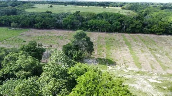 Granja com 12.6 hectares proximo a lagoa do Bonfim - Foto 5