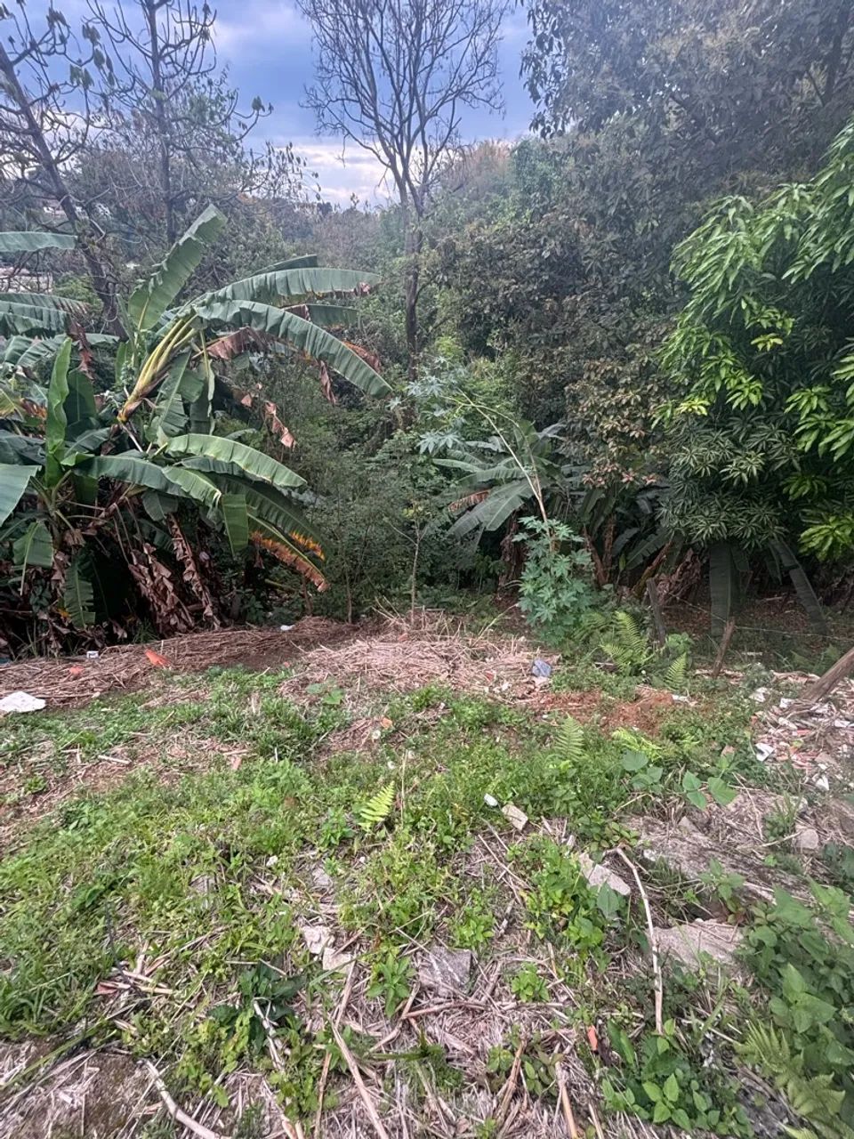 Terreno enorme no final do retiro  - Foto 3