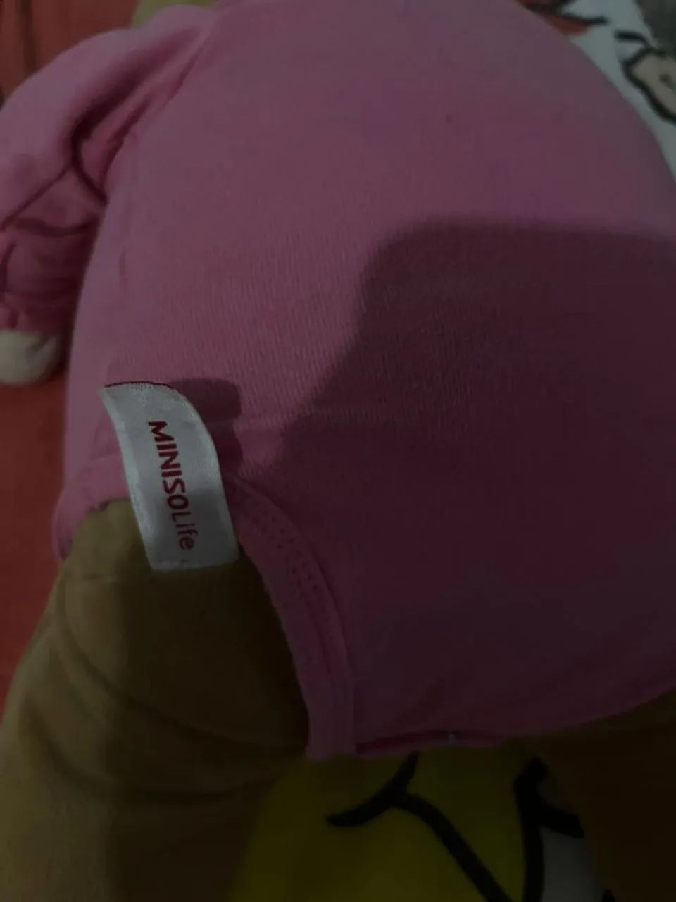 Coelho miniso - Foto 4