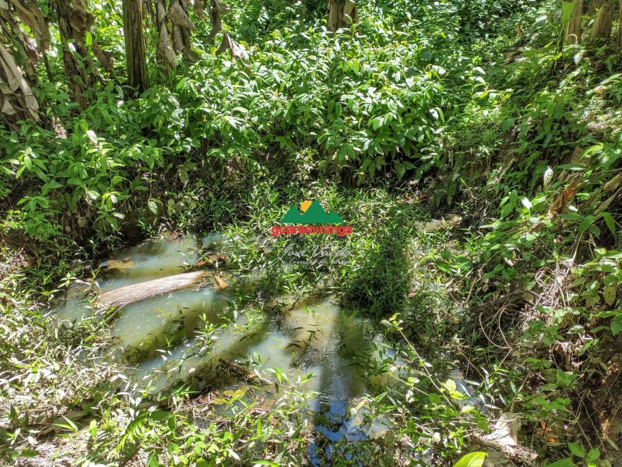 Terreno com 5.2 hectares em Pacoti com nascente, vista para as montanhas e exce - Foto 5