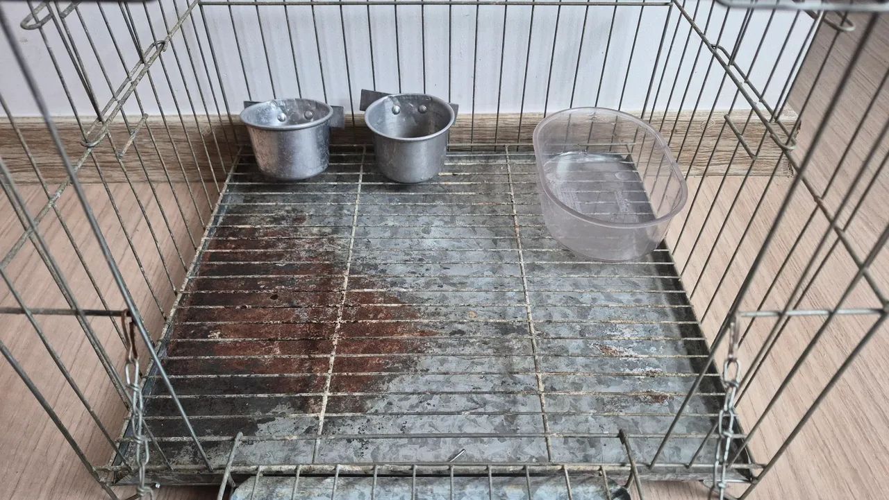 GAIOLA PARA CALOPSITA - Foto 2