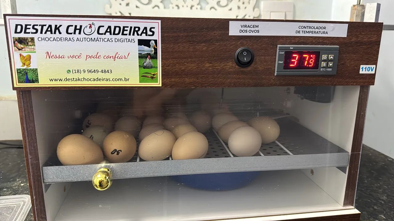 Chocadeira Destak 48 ovos 