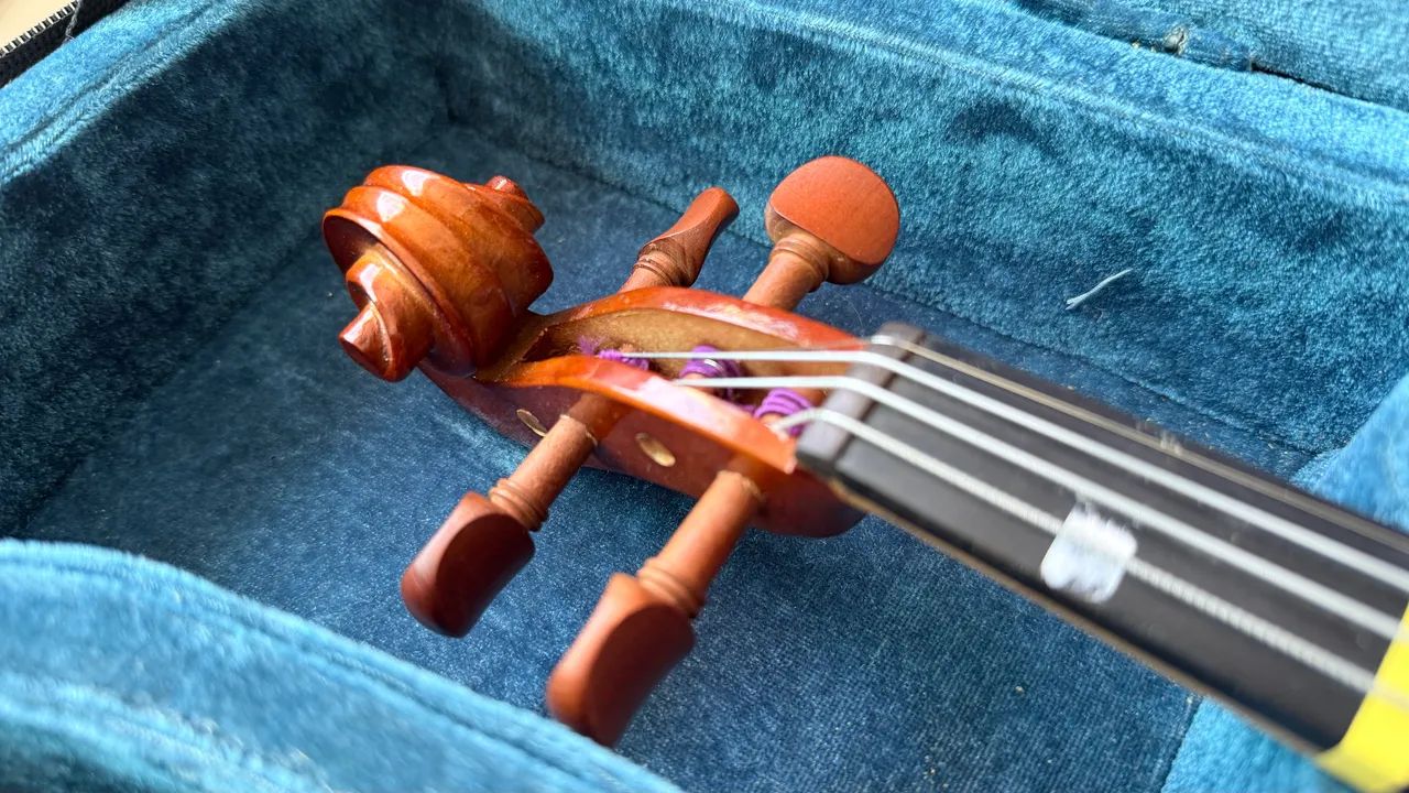 3/4 VIOLINO EAGLE  - Foto 3