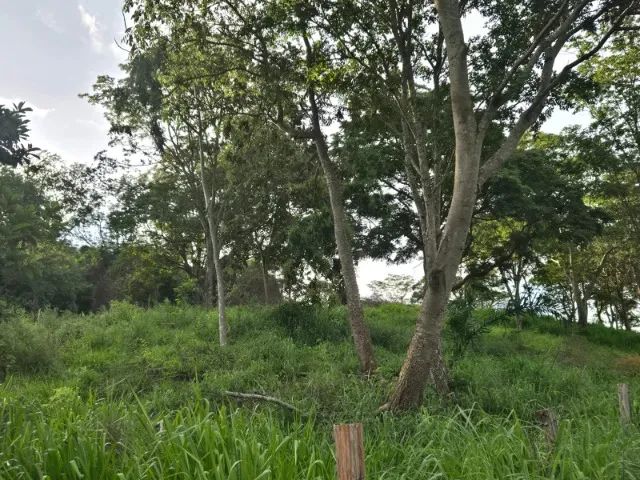 Chácara encantadora em Anápolis - Foto 3