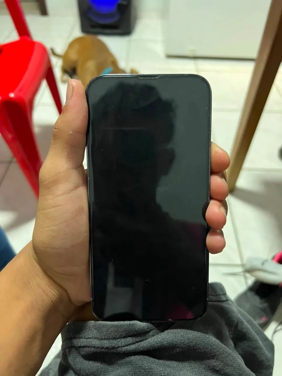 iPhone 13 Pro Max - Foto 2