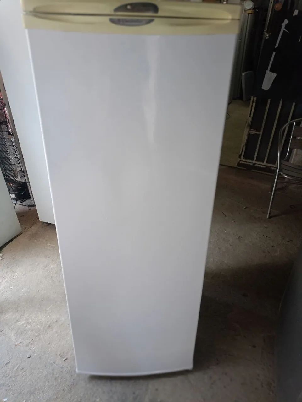 Freezer Eletrolux F21