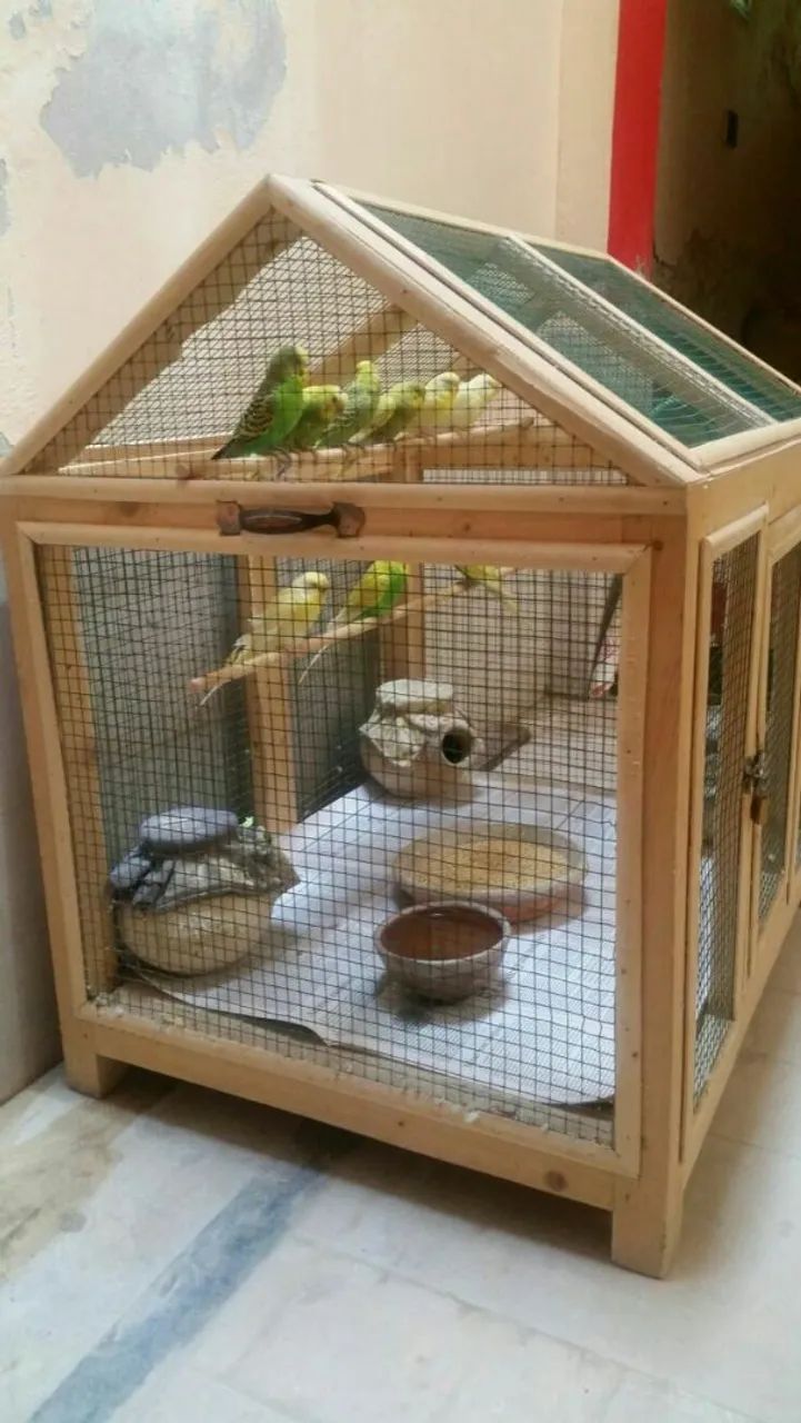 Fábrica de gaiolas - Foto 2