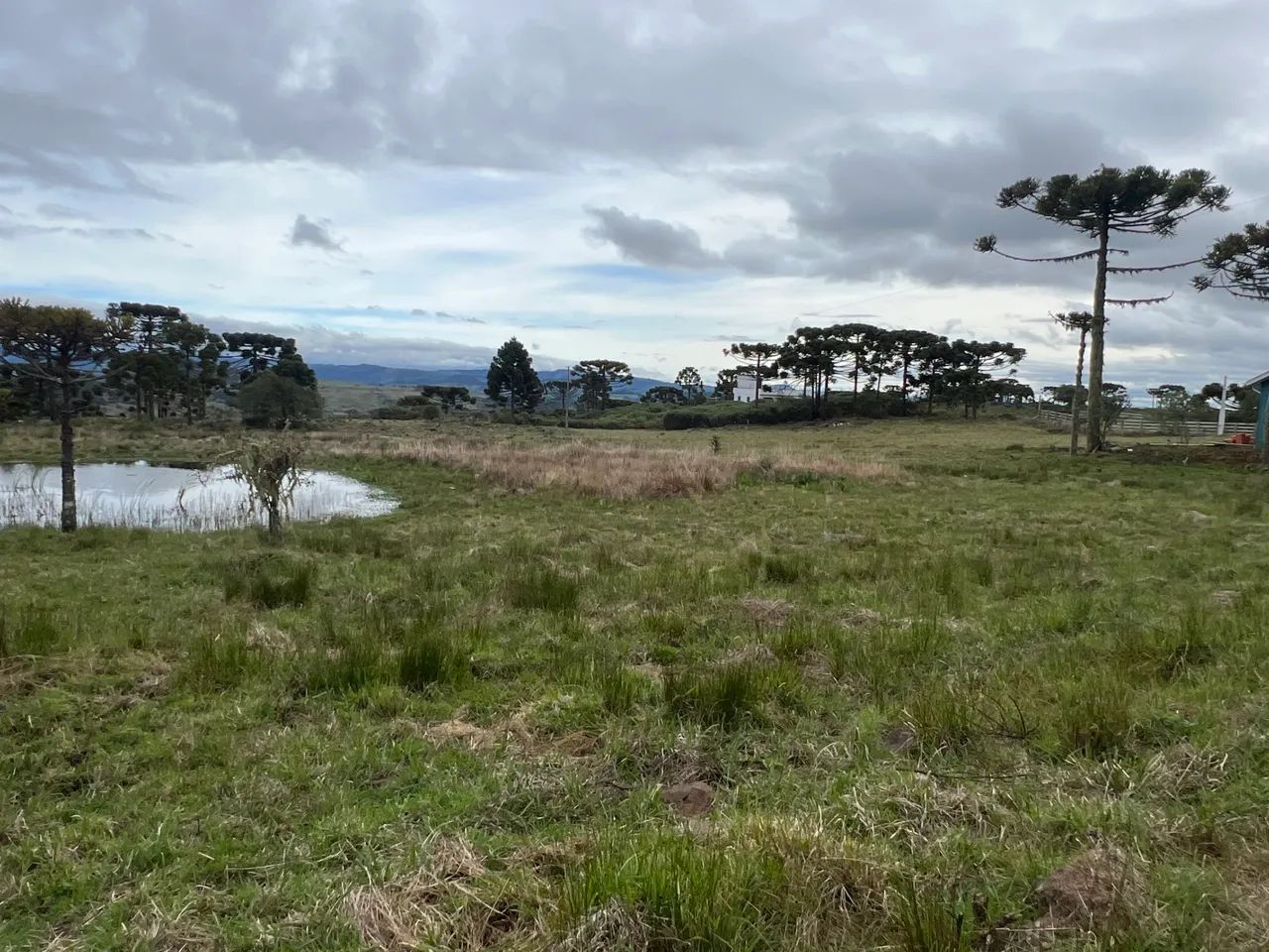 Sítio com casa em Urubici SC - Foto 3