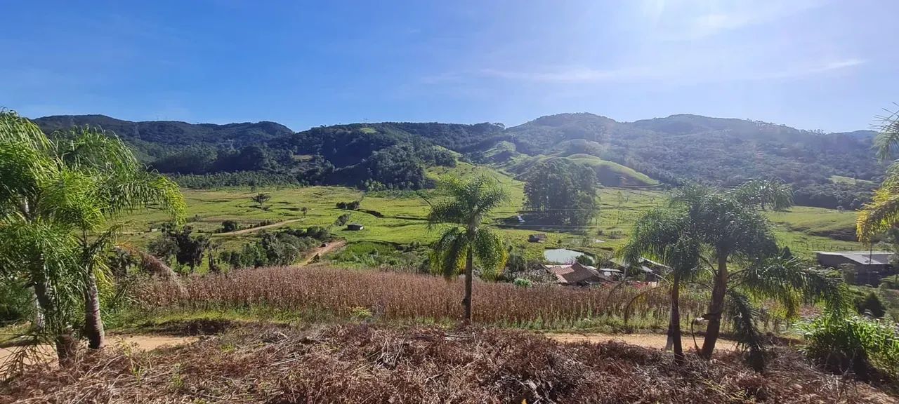 Sitio com escritura publica em Águas Mornas - SC - Foto 4