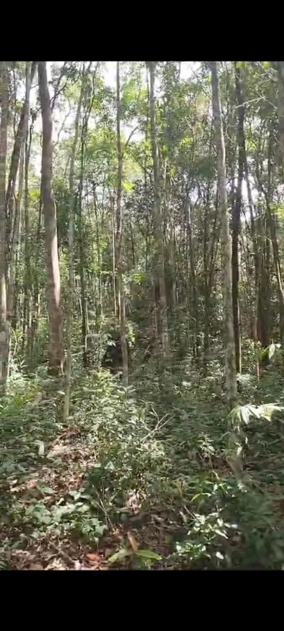 Terreno em Caeté  - Foto 4