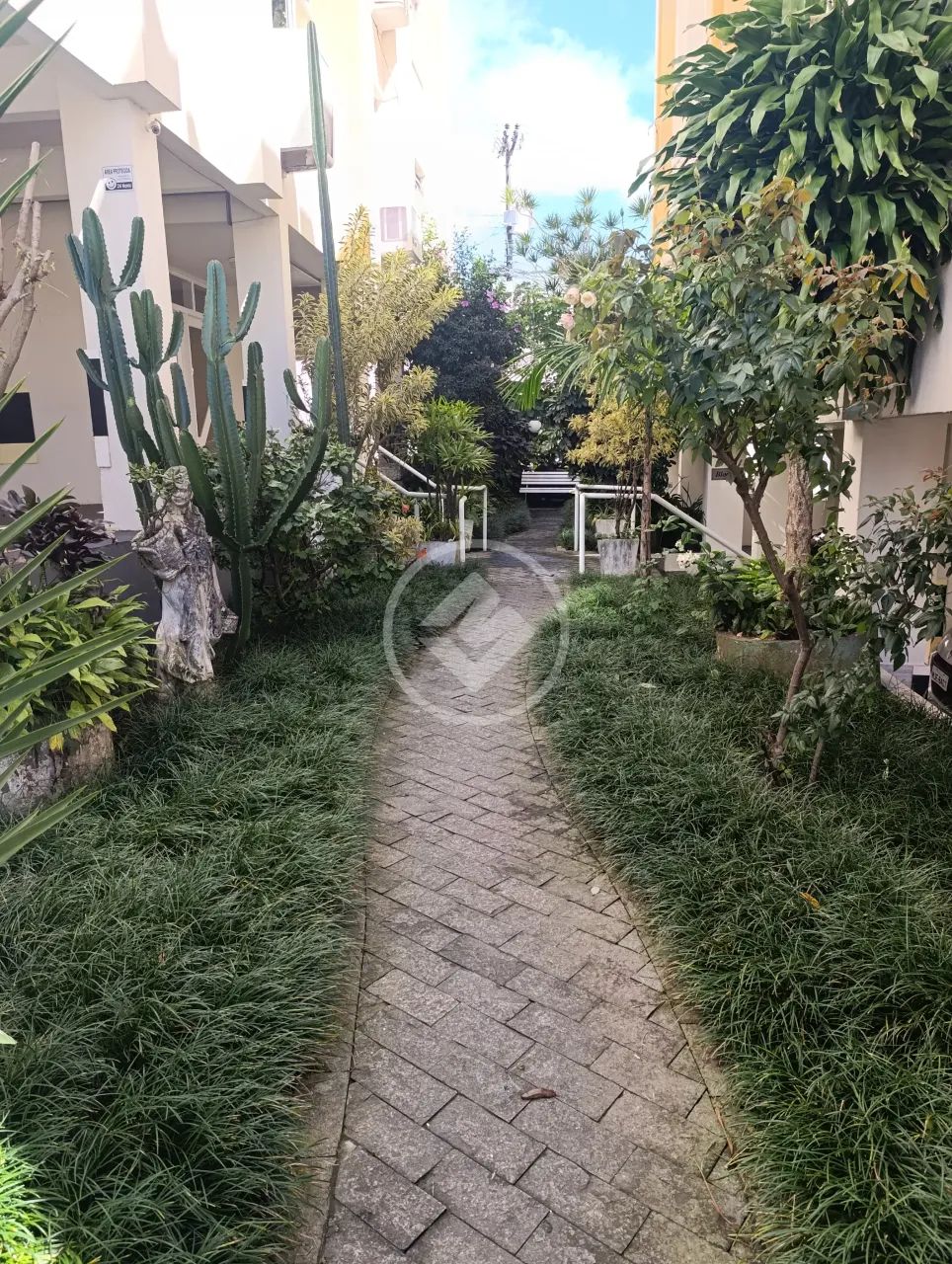 APARTAMENTO - COQUEIROS - FR-289162 - Foto 2