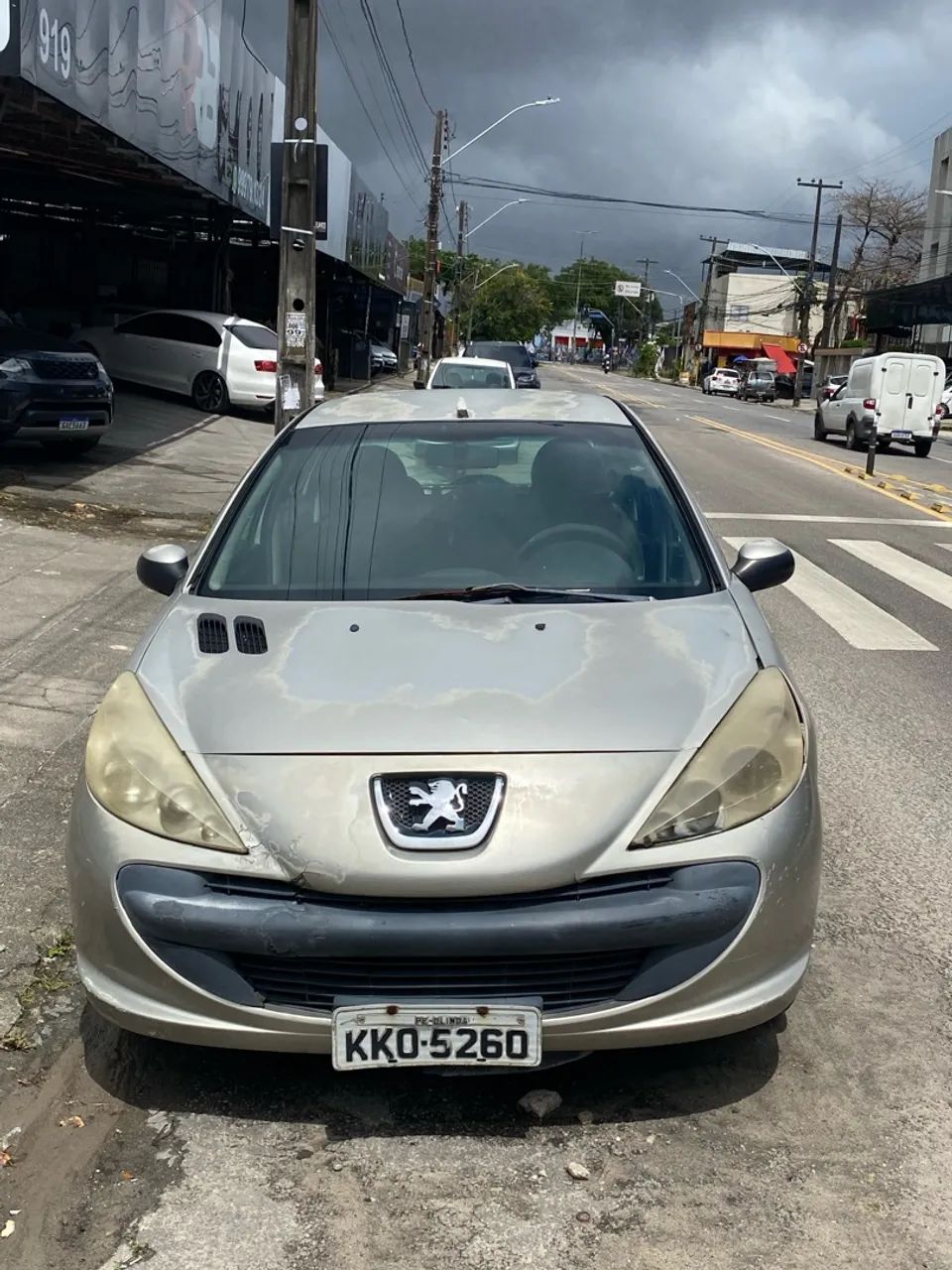 Peugeot 207 207 XR 1.4 FLEX 8V 5P 2010
