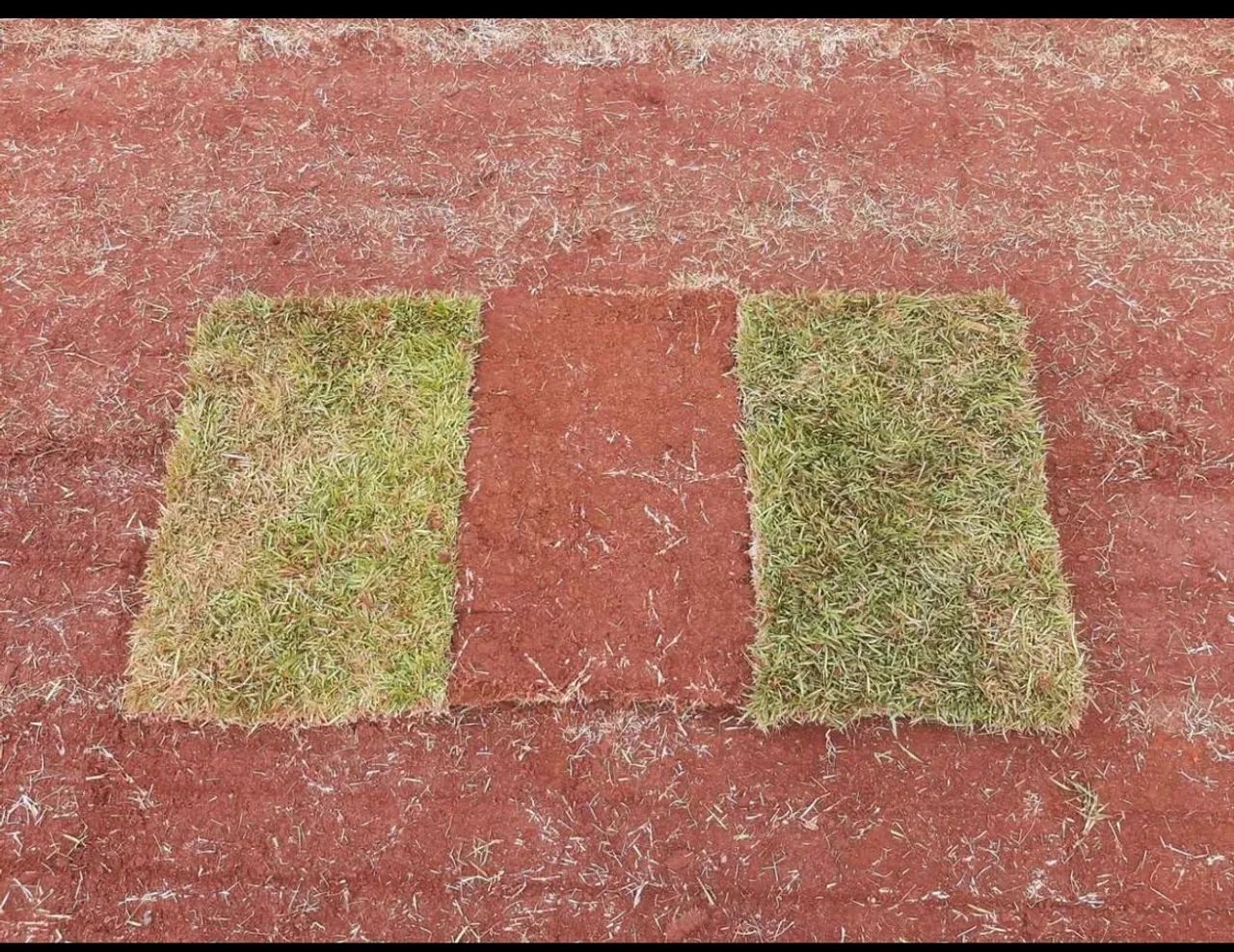Gramas Naturais  - Foto 2