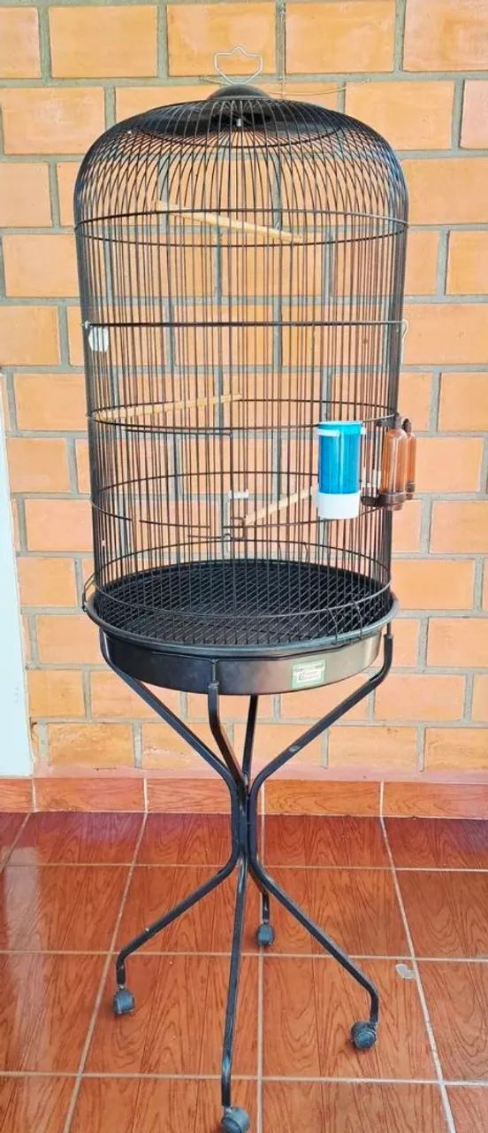 Viveiro tailandês.