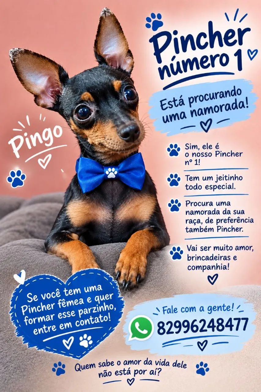 EM BUSCA DE UM AMOR PARA O NOSSO PINGO