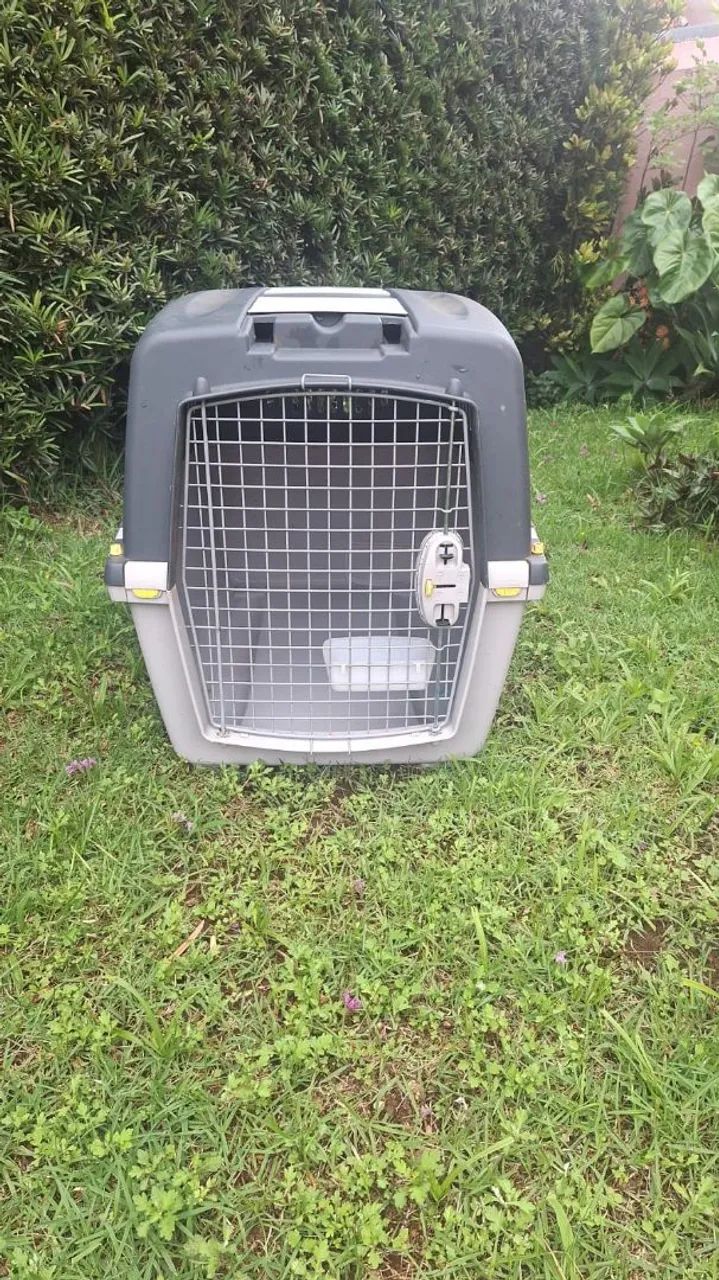 Caixa de transporte Chalesco