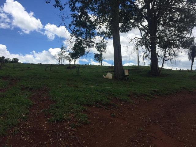 Fazenda com 5,5 Alqueires, Toda Formada, Pontalina Goiás, - Foto 7