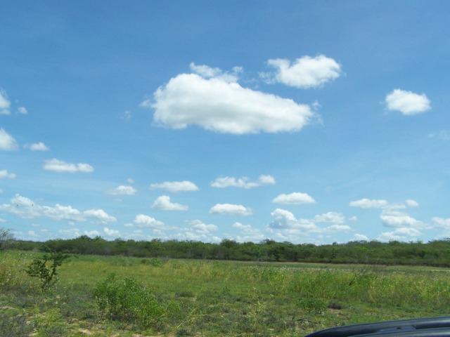 Vendo Fazenda em Poço Branco - Foto 10