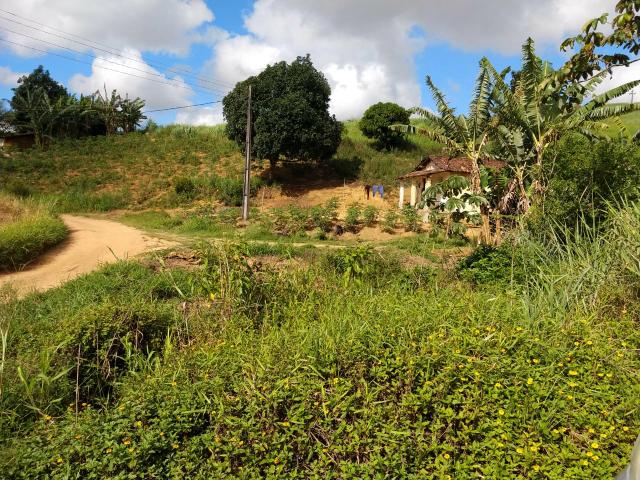 Fazenda com 180 Hectares a 8 km da Pista de Cortês-PE - Foto 12