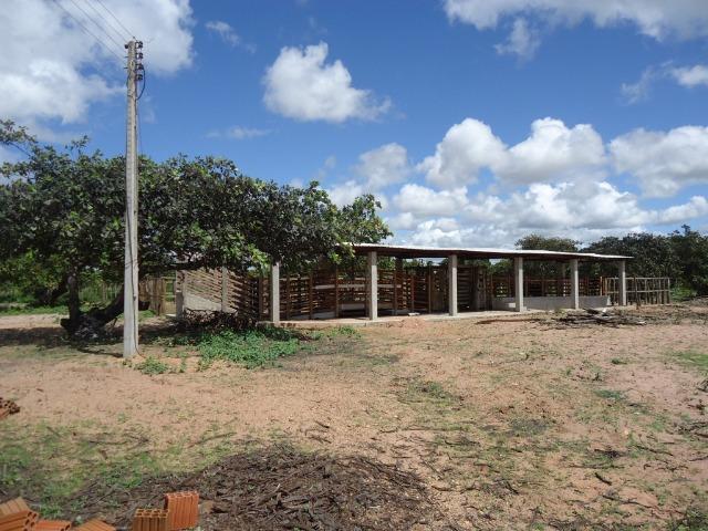 Vendo Fazenda em Ceará Mirim - Foto 15