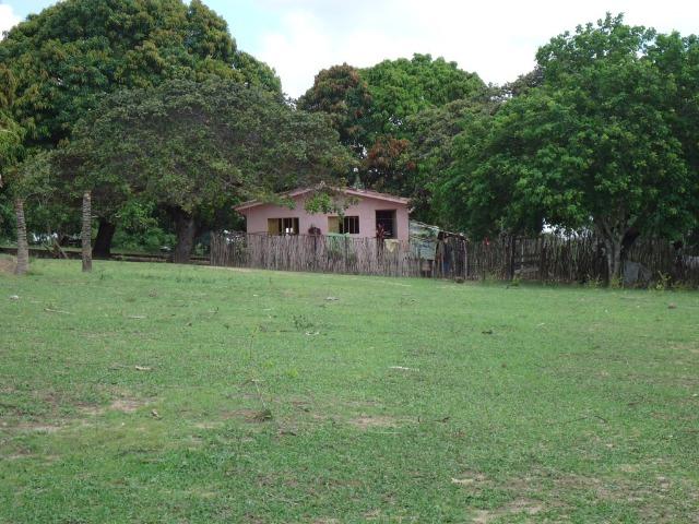 Vendo Fazenda em Ceará Mirim - Foto 7