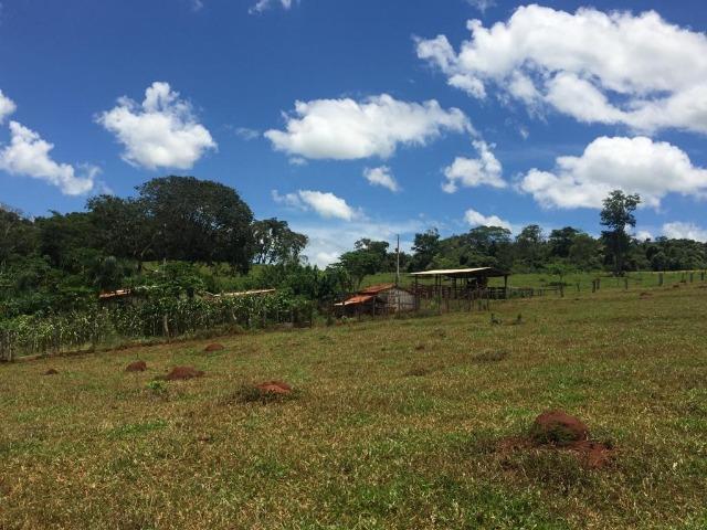 Fazenda com 5,5 Alqueires, Toda Formada, Pontalina Goiás, - Foto 11