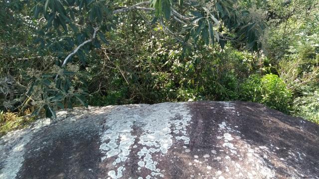 Chacara pedra preta - Foto 6
