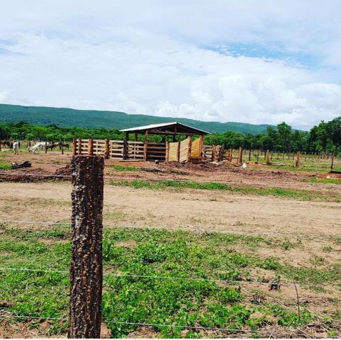 Vendo propriedade em Rosário Oeste - Foto 9