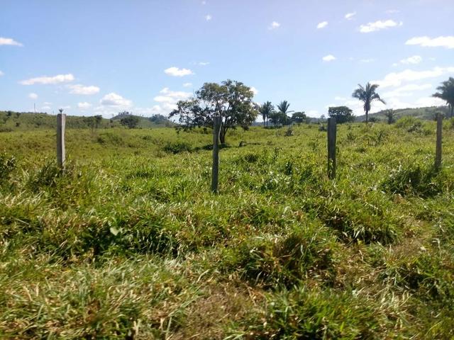 Vendo excelente fazenda / maranhão - Foto 8