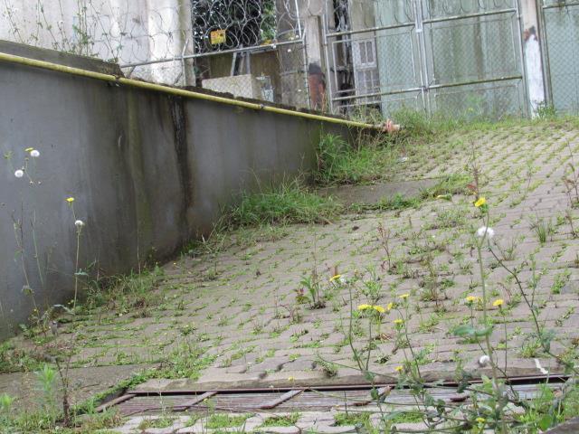 Terreno para alugar em , cod:I-021876 - Foto 9