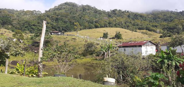 Vendo Fazenda com Pasto e cacau - Foto 4