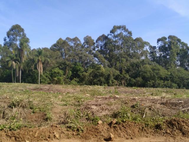 Venha morar em uma chacrinha perto da cidade - Foto 4