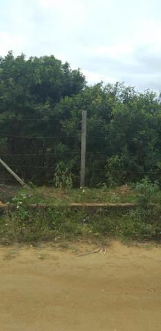 Lote Campo Verde Viana ,apenas 60 mil - Foto 5