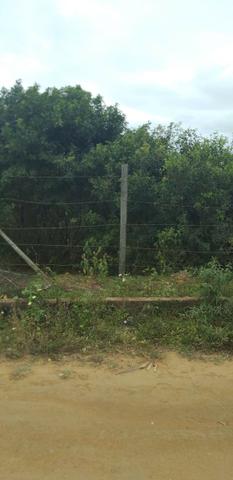 Lote Campo Verde Viana ,apenas 60 mil - Foto 6