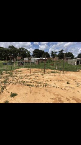 Terreno na Br 408 - Foto 2