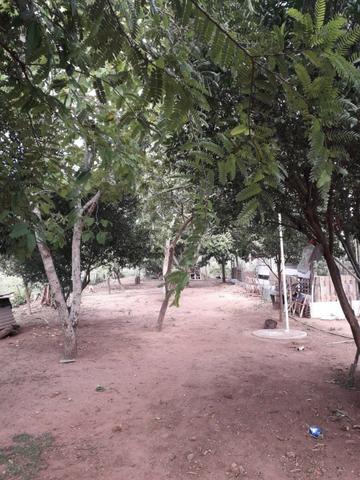 Vende-se uma chácara com 2 casas 2400m2 - Foto 11