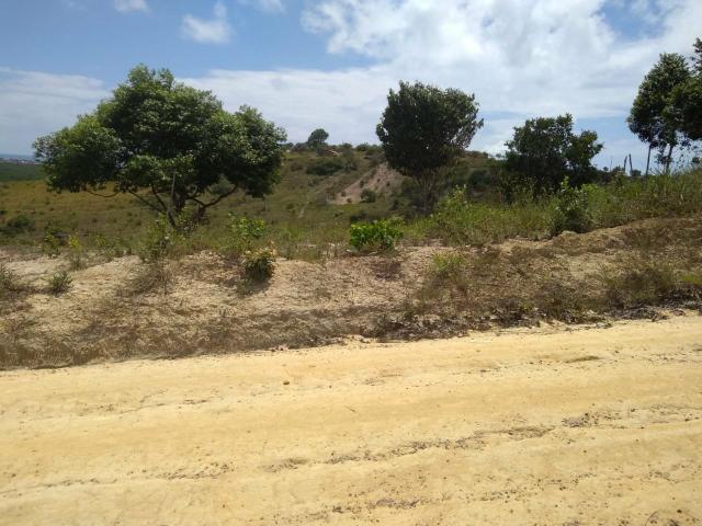 Terreno em Tamandaré!