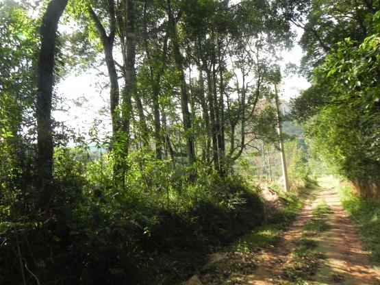 Agt-ótimo terreno para construir chacará na região de Mairiporã - Foto 6