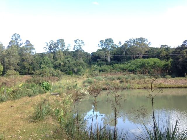 Chácara com casa a 22 km da cidade de Caxias do Sul - Foto 8