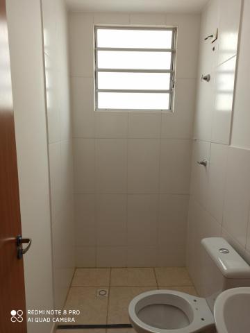 Apartamento para alugar com 2 dormitórios em Jardim nunes, Sao jose do rio preto cod:L7294 - Foto 10
