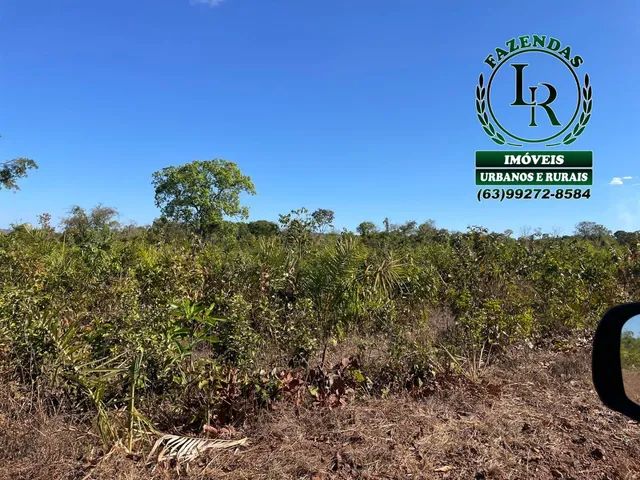 Fazenda 46 Alqueires Próximo Palmas - Foto 4